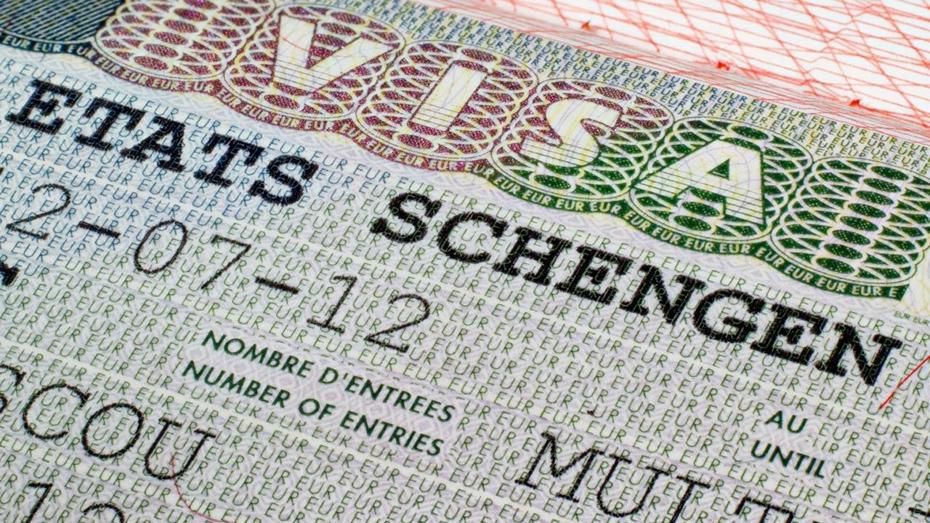 Schengen Vizesinde Güvenilir Kişi Formülü Masada: 5 Yıllık Vize İmkanı Nelerdir?