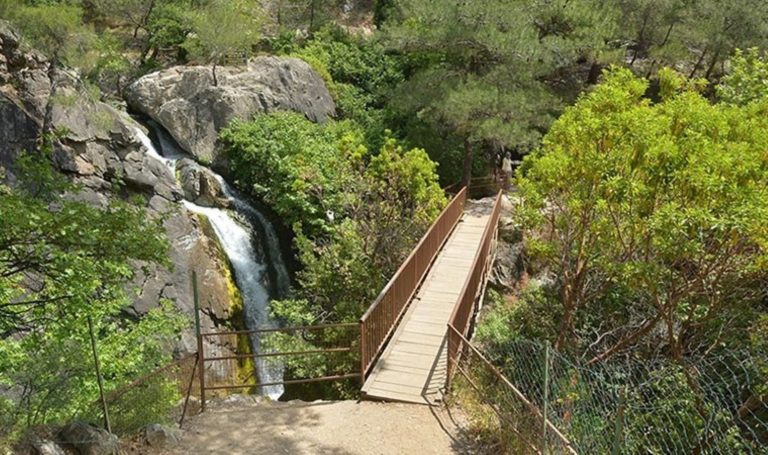 Kaz Dağları'na giriş yasak – Son Dakika Türkiye Haberleri