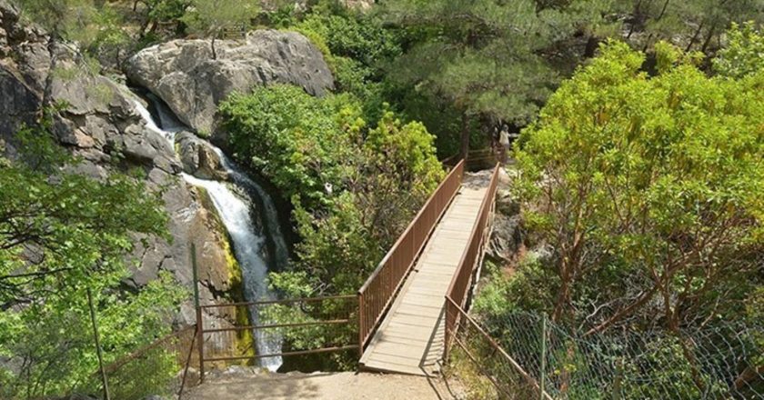 Kaz Dağları'na giriş yasak – Son Dakika Türkiye Haberleri