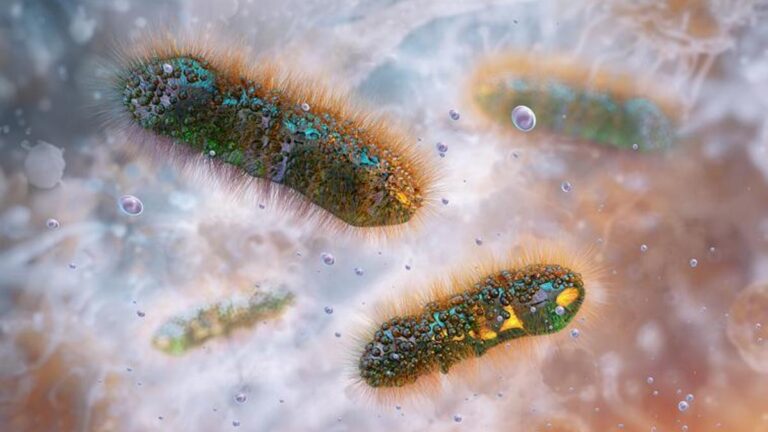 Dizanteri Belirtileri Nelerdir? Dizanteri Nasıl Anlaşılır? Dizanteri Tedavi Yöntemleri Nelerdir?