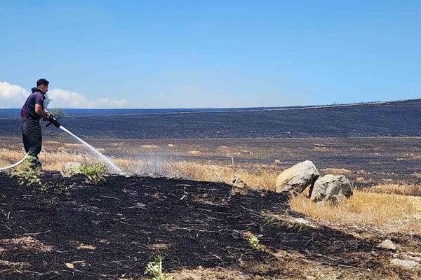 10 bin dönümlük arazi alevlere teslim oldu