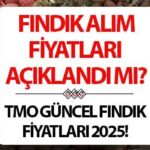 FINDIK FİYATLARI 2025 TMO | Fındık fiyatları ne zaman açıklanacak, açıklandı mı? Toprak Mahsulleri Ofisi (TMO) fındık fiyatları ne kadar, kaç TL olacak? ? İşte güncel Levant ve Giresun kalite fındık alımı 2025 taban fiyatları!