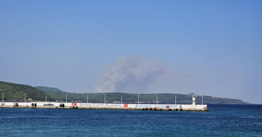 Çanakkale’de orman yangını – Son Dakika Haberleri
